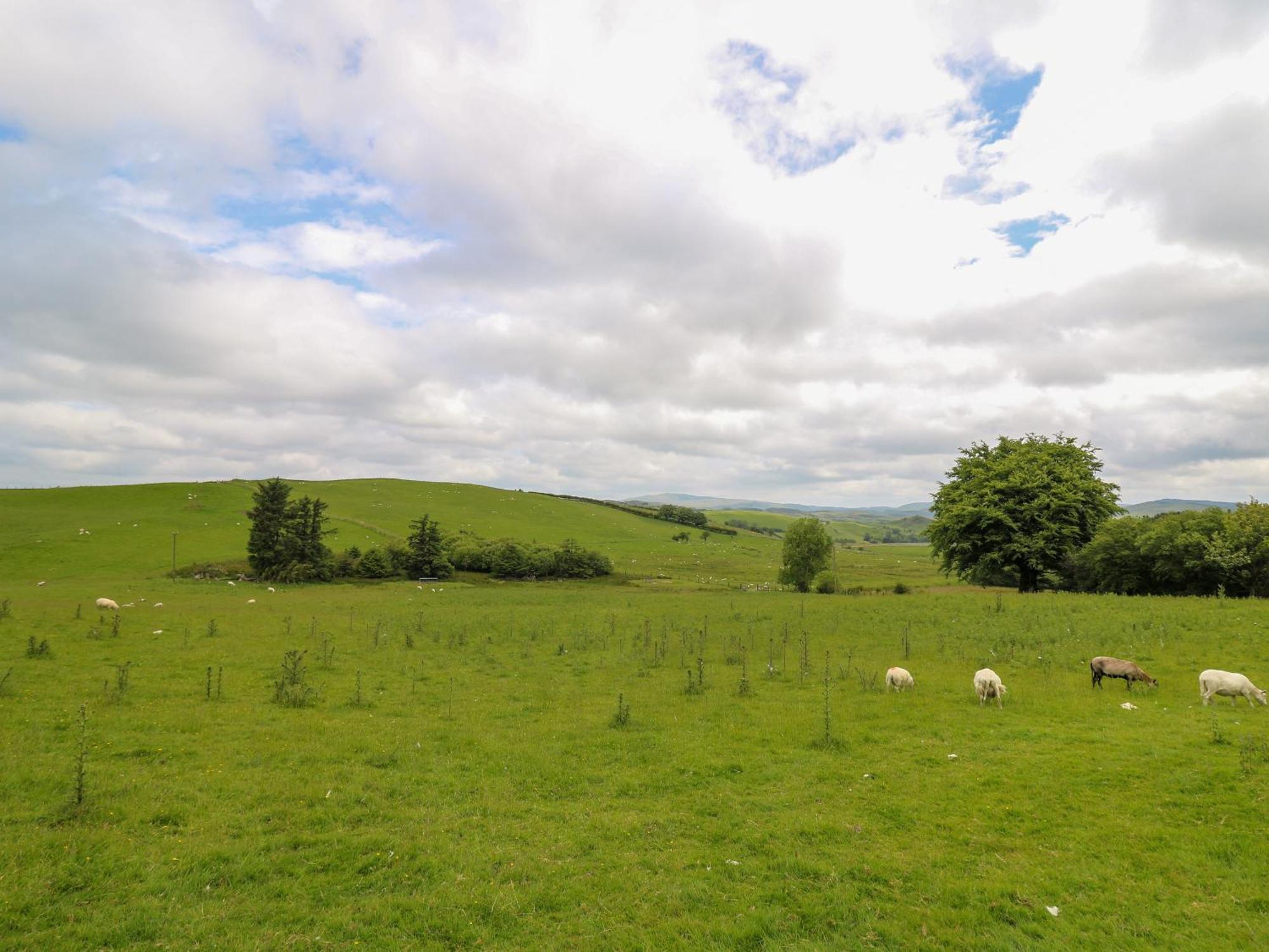 Plynlimon View Villa Aberystwyth Dış mekan fotoğraf